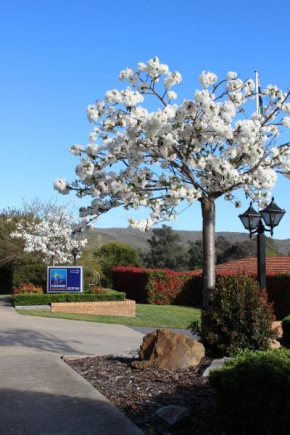 Hume Country Motor Inn, Albury